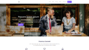 Agency Template 48