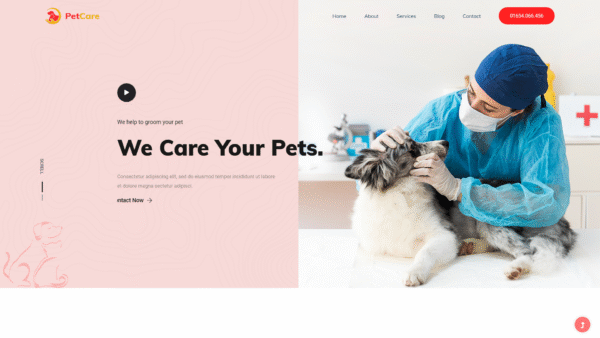 Education Template 32