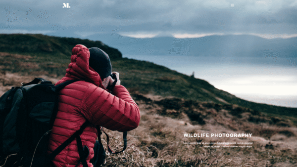 photography20.doodlebyte.in Photography Template 20