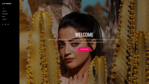 photography9.doodlebyte.in Photography Template 9